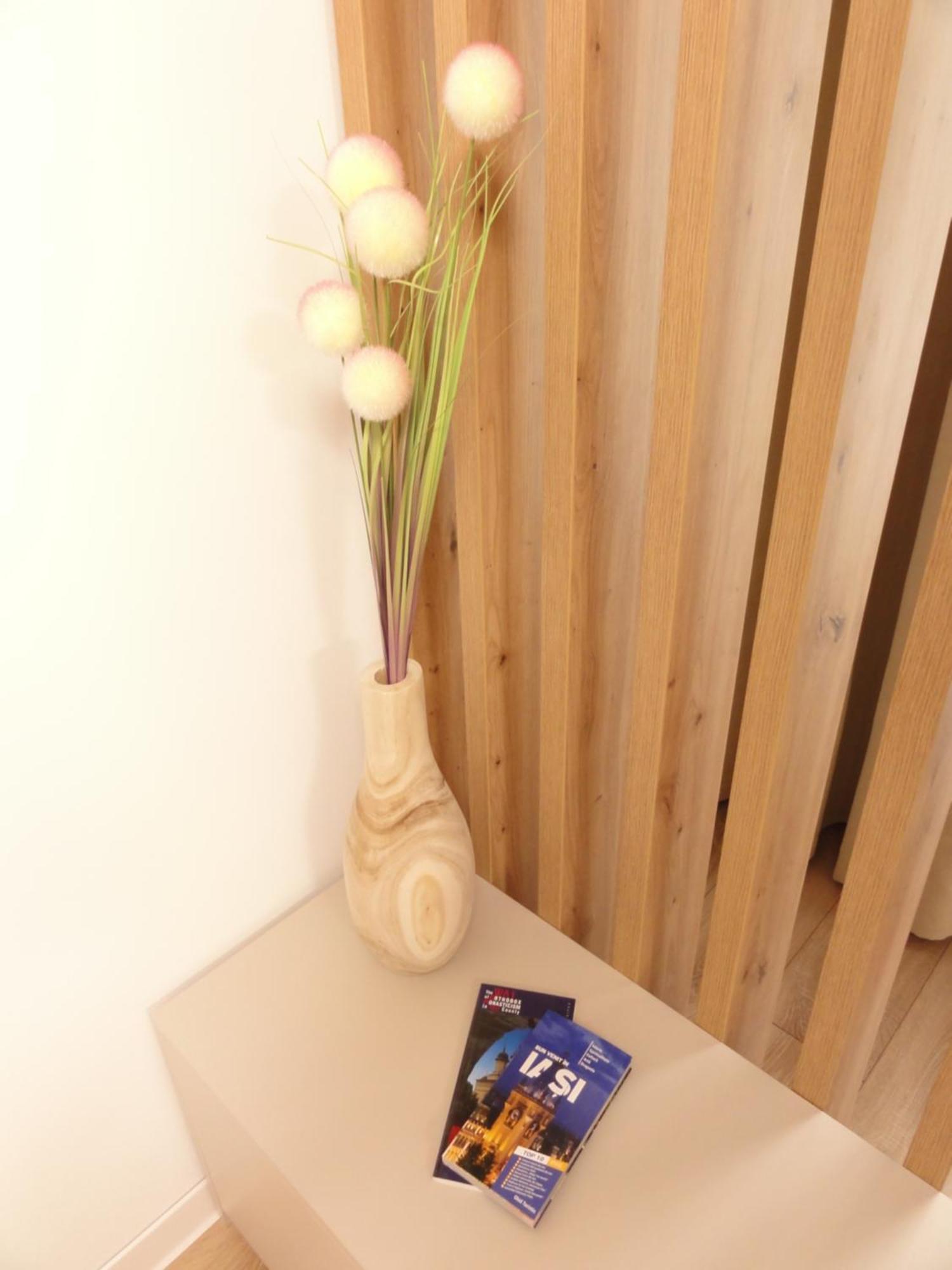 Appartement Luxury Iasi